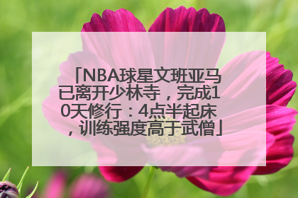 NBA球星文班亚马已离开少林寺，完成10天修行：4点半起床，训练强度高于武僧