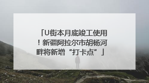 U街本月底竣工使用！新疆阿拉尔市胡杨河畔将新增“打卡点”
