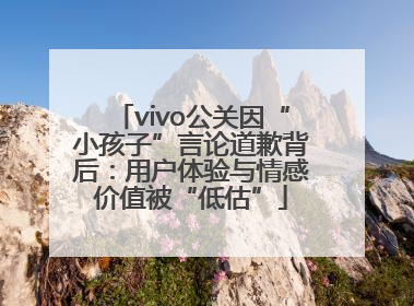 vivo公关因“小孩子”言论道歉背后：用户体验与情感价值被“低估”